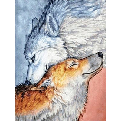 5D Diamond schilderij volledige boor witte Wolf & bruine Wolf diamant borduurwerk 20X30CM white
