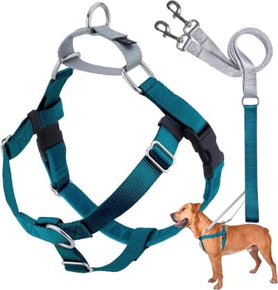 Honden Tuigje - Anti-trek tuigje - Veilig Wandelen - Dubbele Leiding Connectie - XXL Borst 96-112 cm - Blauw