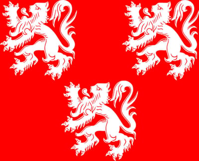 Vlag Gavere 120x180cm