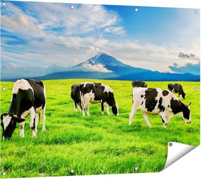 Gards Tuinposter Koeien in de Wei - 120x90 cm - Tuindoek - Tuindecoratie - Wanddecoratie buiten - Tuinschilderij