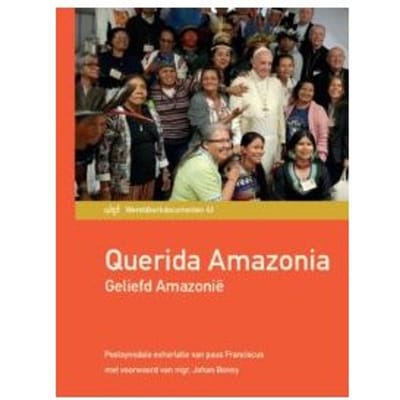 Querida Amazonia. Geliefd Amazoniê - Wereldkerkdocumenten - Paus Franciscus
