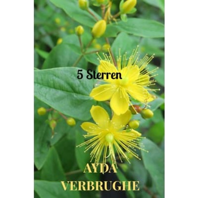5 Sterren - Ayda Verbrughe