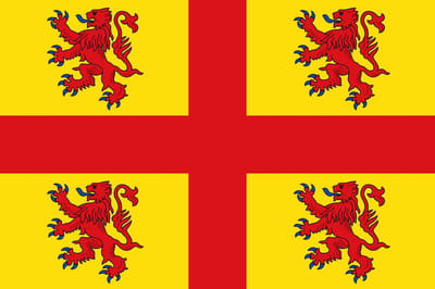 Vlag Steenput 100x150cm