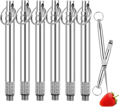 6-Pack Herbruikbare Tandenstokers van Titanium - Draagbare Tandenstokers met Beschermende Houder voor Reizen, Camping en Picknicks