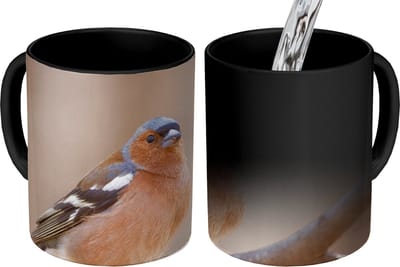 Magische Mok - Foto op Warmte Mokken - Koffiemok - Vogel - Dieren - Vink - Magic Mok - Beker - 350 ML - Theemok