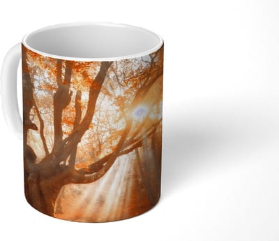 Mok - Koffiemok - Boom - Natuur - Herfst - Mokken - 350 ML - Beker - Koffiemokken - Theemok