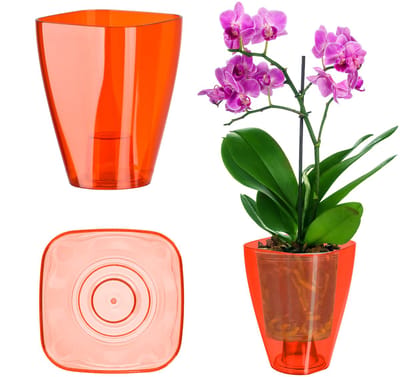 KADAX Bloempot, slanke orchideeënpot, eenvoudige plantenbak, bloempot voor orchidee, Moeras Madeliefjes, plantenbak voor keuken en woonkamer ( 9 cm, vierkant, rood)