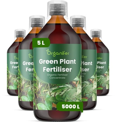 Vloeibare Meststof Voor Groene Plant 5 L Voor 5000 L - Npk 2-1-8 - Groene Bladplanten - Bladkleur - Bladtextuur - Wortelontwikkeling - Vochtregulati - Tropische Planten - Kamerplanten - Plantgezondheid - Organifer