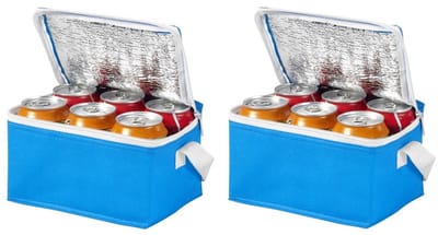 10x stuks kleine mini koeltassen blauw voor 6 blikjes 20 x 15 x 12 cm - compacte koelboxen en elementen
