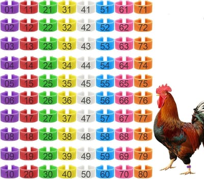 80 stuks 16 mm kippenpootbanden met 8 kleuren - kleurrijke 01-80 genummerde identificatiepootbanden voor kippen - eendenpootlabels voor pluimvee - Digitale identificatie ring - kip markering ring-pluimvee pootring