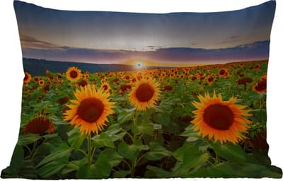 Buitenkussens - Tuin - Bloemen - Nacht - Zonsondergang - Zonnebloem - Horizon - 50x30 cm