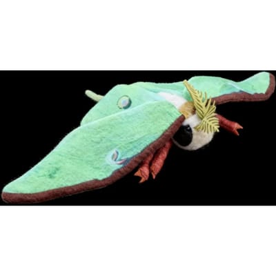 Schattige Luna Moth Pluche Speelgoed Levensgetrouwe Hyalophora Cecropia Groene Luna Moth Knuffels Insectenliefhebbers Kinderen Kerstcadeaus 25cm white