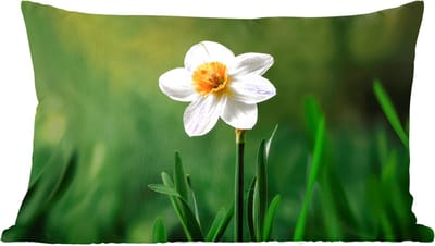 Sierkussens - Kussentjes Woonkamer - 60x40 cm - Narcis - Bloem - Wit - Grassprieten