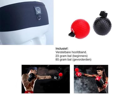 Box Reflex Bal - Hoofd Boxbal Reflexbal Kickboks Workout Speed Ball Punch Trainer Hoofdband - met 2 ballen