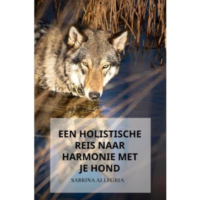 Een Holistische Reis Naar Harmonie Met Je Hond - Sabrina Allegria