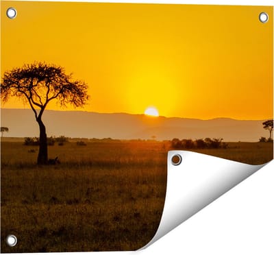 Gards Tuinposter Zonsopgang in de Savanne met een Boom - 50x40 cm - Tuindoek - Tuindecoratie - Wanddecoratie buiten - Tuinschilderij