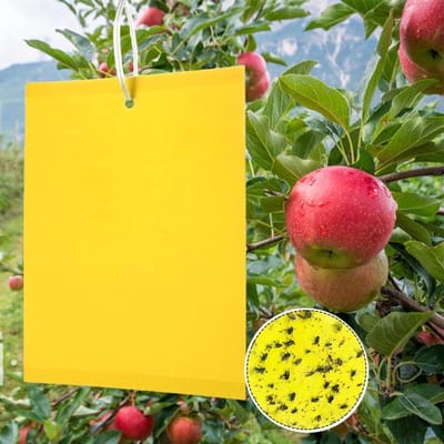 Professionele Gele Plakstrips voor Insectenbestrijding - Effectieve Vallen voor Witte Vliegen, Bladluis en Motten (50 Stuks)