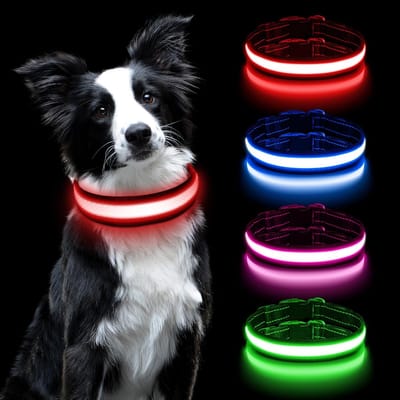 Store_7 - Lichtgevende Halsband - USB Oplaadbaar - Veiligheidshalsband - Rood - Waterdicht - LED-lamp - Geschikt voor honden - Medium