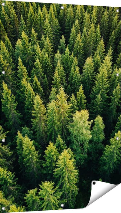 Gards Tuinposter Bos met Bomen vanaf Boven - 80x120 cm - Tuindoek - Tuindecoratie - Wanddecoratie buiten - Tuinschilderij