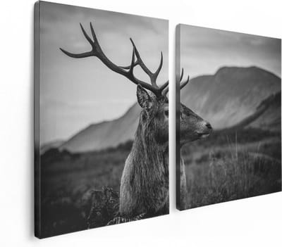 Artaza Canvas Schilderij Tweeluik Hertenkop - Hert - Zwart Wit - 120x80 - Foto Op Canvas - Canvas Print
