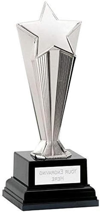 Gepersonaliseerde Award Trofee - Ster Prijs - Prestaties Vieren - Gratis Gravering Inbegrepen - Tot 20 cm - Zilverkleurig