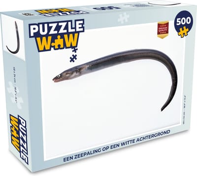 Puzzel Een zeepaling op een witte achtergrond - Legpuzzel - Puzzel 500 stukjes