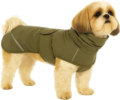 Hondenjas – Flamingo Cujo – honden jas – hondenjasjes winter – hondenjas waterdicht – 35 cm – A:35cm B:42cm C:45-52cm – groen