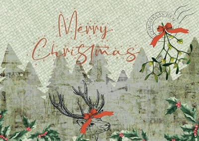 Kerstkaart - Merry Christmas - Mistletoe - Meer Leuks - Kerstkaarten - Christmas Card