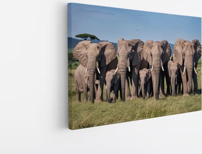 Saammp Canvas Schilderij - Grote Olifanten Familie - Afrika - Dieren - 45x30 - Foto op canvas - Wanddecoratie - muurdecoratie Woonkamer - Slaapkamer decoratie - Canvas Print