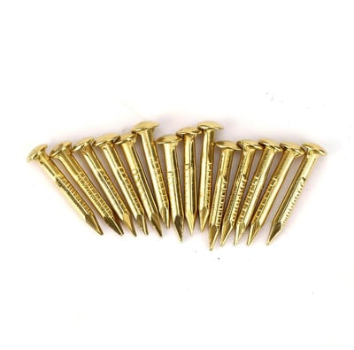 Dailygoods- Ronde Kop Brad - 100 Stuks - Messing Spijkers - Meubelscharnier Hardware - Houten Huisdecoratie - 4 Maatopties (10mm/15mm/18mm/22mm)