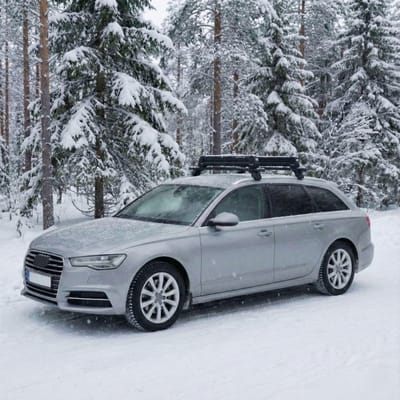 HAKR skirek 6 paar ski-houder 4 planken Aluminium Zwart
