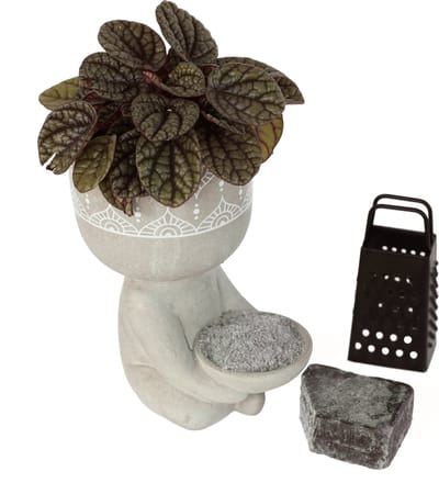 Comforder Amberblokjes Cadeauset met Geurblokje Black Musk, Potje en Rasp - Giftset