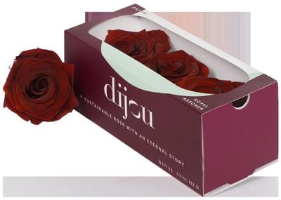 3x Dc pres.rozen dark amber