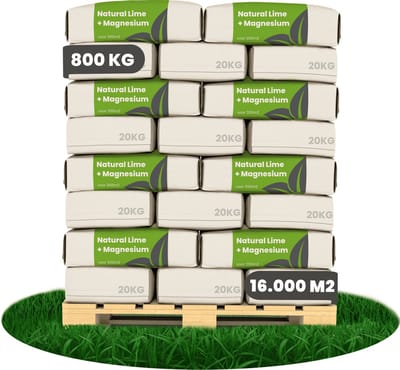 Kalk Korrel meststof verrijkt met magnesium (40x = 800Kg - Voor 16.000m2) voor dieper bladgroen (+PH) Speciaal voor gazon, Perken, Moestuin en openbaar groen - Organifer