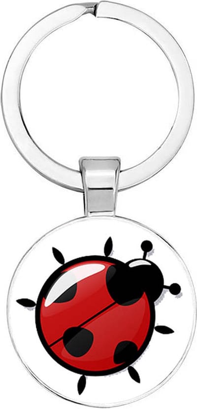 Akyol - Lieveheersbeestje Sleutelhanger - lieveheersbeestje - insecten liefhebbers - dieren liefhebber - houden van - verjaardagscadeau - gift - geschenk - 2,5 x 2,5 CM