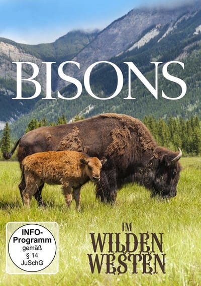 Bisons Im Wilden Westen