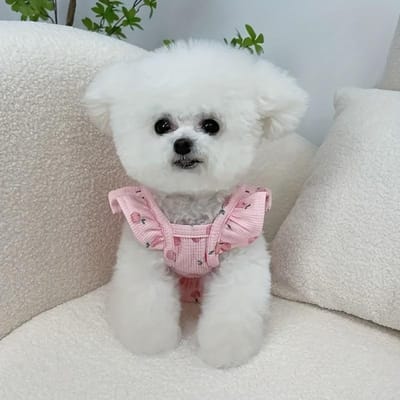 Robe de Mariée Princesse pour Petits Chiens - Rose Pâle Florale et Cœur avec Manches Volantes, Tenue d'Été Printemps Légère et Respirante pour Animaux de Compagnie S rose