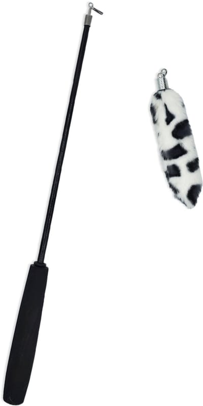Katten speeltjes Katten Speelgoed Kattenspeeltjes Katten Hengel Staart Incl. Hengel - Wit