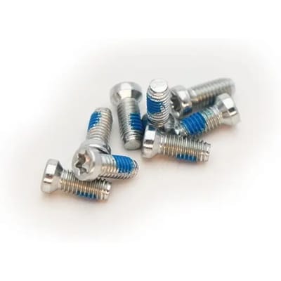 Sram Crank Bolt Kit Removable Spider Mounting Torx T20 Krukasbout 8 Eenheden Zilver