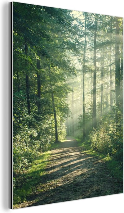 Aluminium schilderij 60x80 cm - Wanddecoratie metaal - Bos - Pad - Zon - Bomen - Groen - Natuur - Metalen muurdecoratie woonkamer - Decoratie industrieel - Foto op dibond - Industriële accessoires slaapkamer