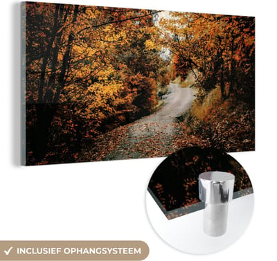 MuchoWow® Glasschilderij 40x20 cm - Schilderij acrylglas - Herfstbos - Pad - Bladeren - Landelijk - Foto op glas - Schilderijen