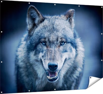 Gards Tuinposter Wolvenkop met Blauwe Ogen - Wolf - 160x120 cm - Tuindoek - Tuindecoratie - Wanddecoratie buiten - Tuinschilderij