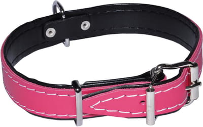 Fuchsia leren hondenhalsband 18mm/43cm DINO