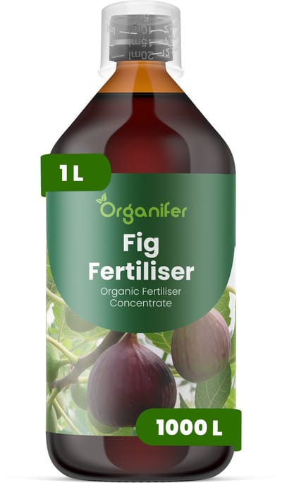 Vloeibare Meststof Voor Vijgen - 1 L Voor 1000 L - Npk 2-1-8 - Gezond Blad En Frui - Bevordert Groei En Fruitkwaliteit - Versterkt Het Wortelstelsel - Vergroot De Weerstand - Verhoogt De Algehele Vitaliteit - Organifer