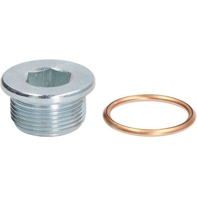 Schroef plug oliepan ELRING 108.480