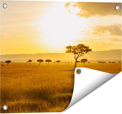 Gards Tuinposter Zonsondergang in de Savanne - 50x40 cm - Tuindoek - Tuindecoratie - Wanddecoratie buiten - Tuinschilderij