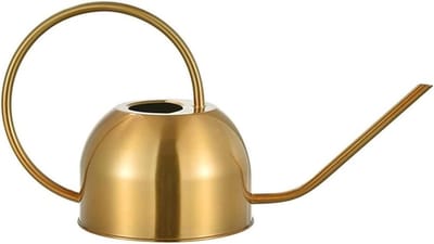 Roestvrijstalen Gieter - Waterplanten Kan - Planten Water Geven - Lange Tuit - 1.5 Liter - Goud
