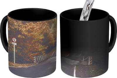 Magische Mok - Foto op Warmte Mokken - Koffiemok - Bomen - Weg - Herfst - Magic Mok - Beker - 350 ML - Theemok