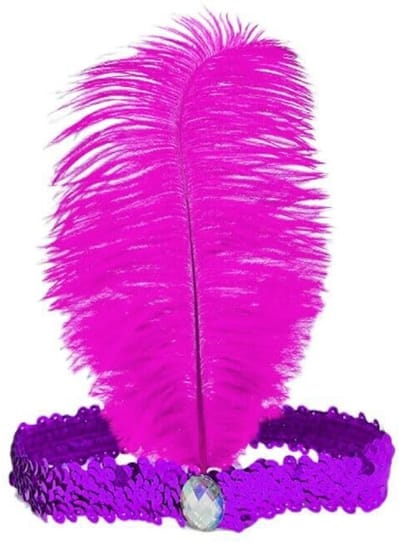 Dailygoods- Hoofdband met veer - Hoofdtooi carnaval - Vintage hoofdband - Pailletten/strass-steentjes - 2 stuks - Hoogwaardig polyester
