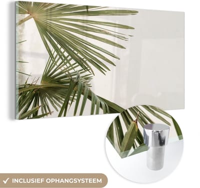 MuchoWow® Glasschilderij 120x60 cm - Schilderij acrylglas - Bladeren - Palmblad - Tropisch - Zomer - Foto op glas - Schilderijen